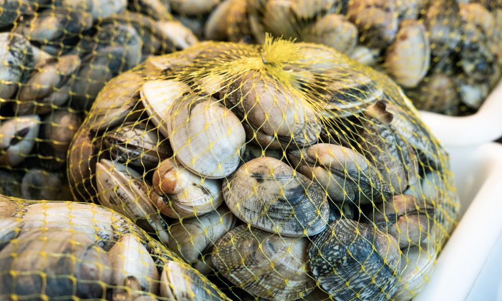 How Mesh Bags Are Used for Seafood Packaging