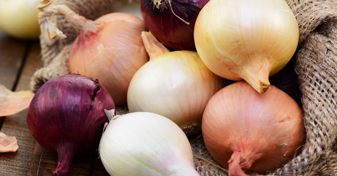 An assortment of red, yellow, and white onions spilling out of a burlap sack onto a rustic wooden tabletop.