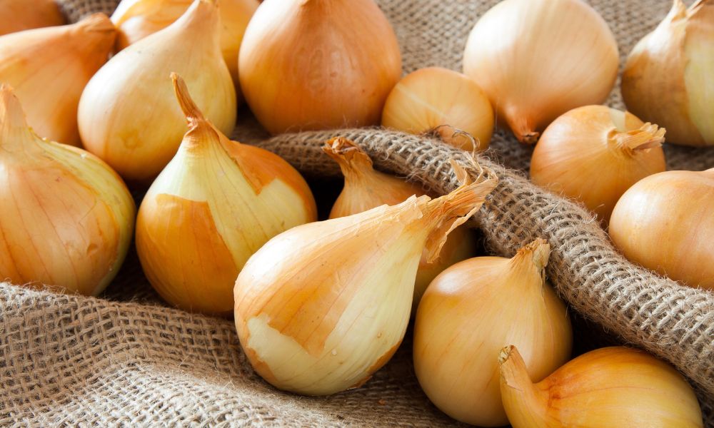The Best Ways To Keep Onions Fresh Longer