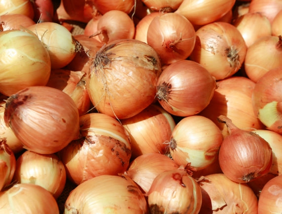 Red Onion 10Lbs Bag