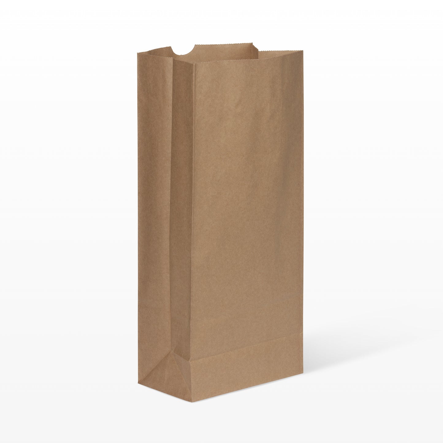 10 lb. (1 Peck) Plain Kraft Multiwall bag