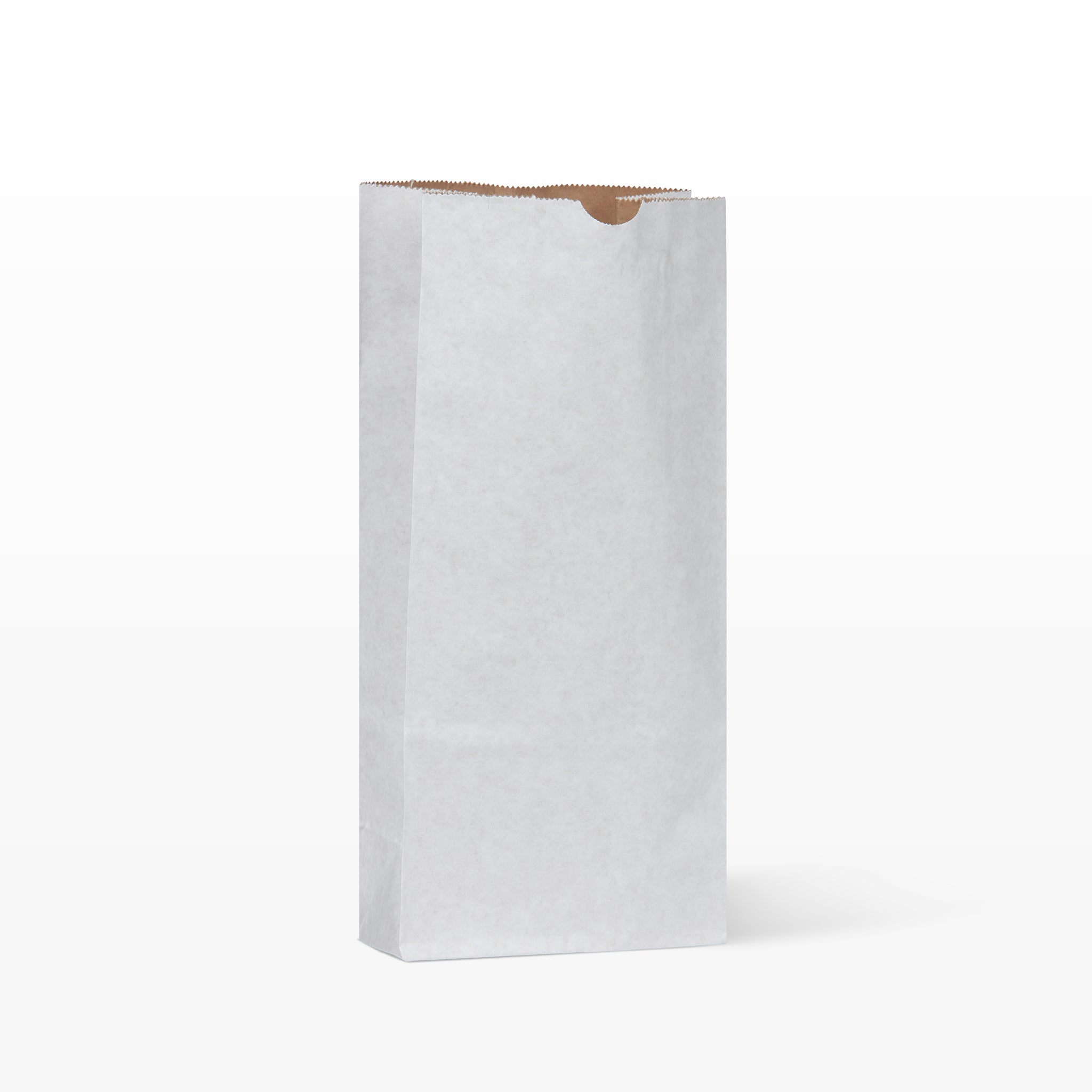 paper bag with holes