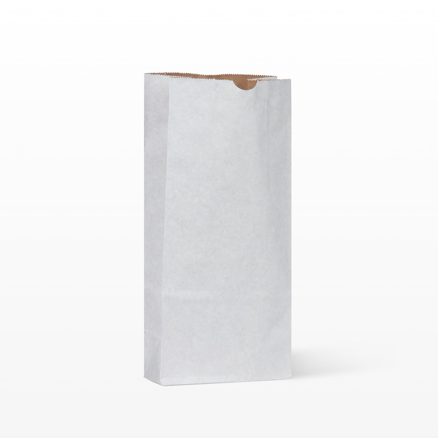 5 lb. Plain White Multiwall Bag