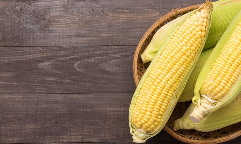 The Best Methods for Properly Storing Sweet Corn