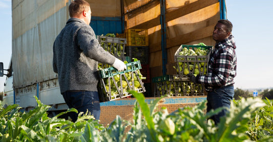 How To Reduce Product Loss During Produce Transportation