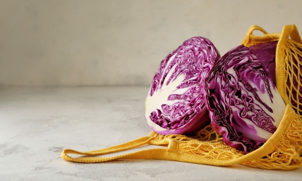 The Benefits of Using Mesh Cabbage Bags