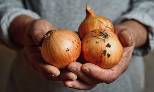 Top Ways To Sell More Onions as a Farmer