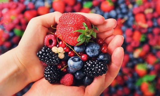 The Best Ways To Keep Berries Fresh After Harvesting