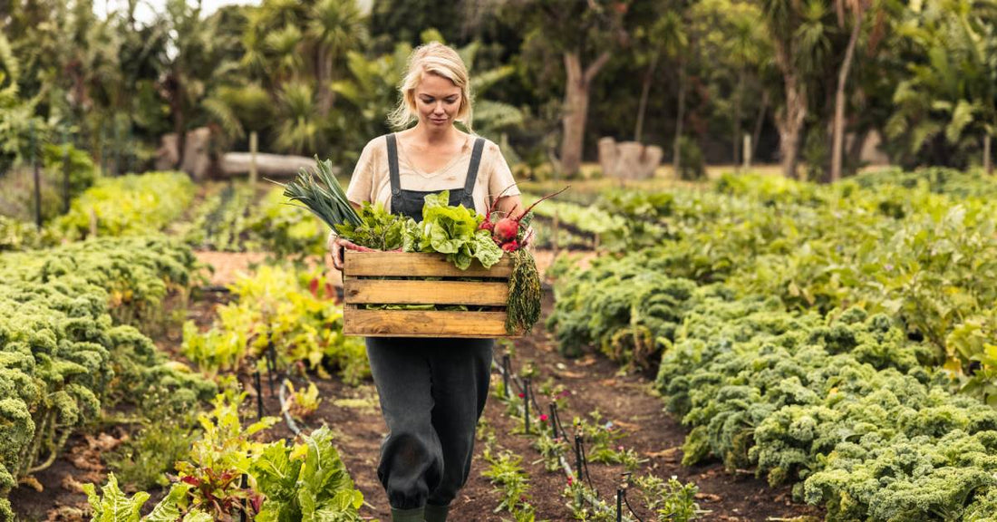 A farmer wearing overalls carries a wooden box filled with vegetables as she walks down a row in her vegetable garden.