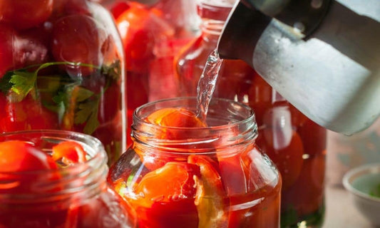 How To Properly Store Tomatoes During the Winter