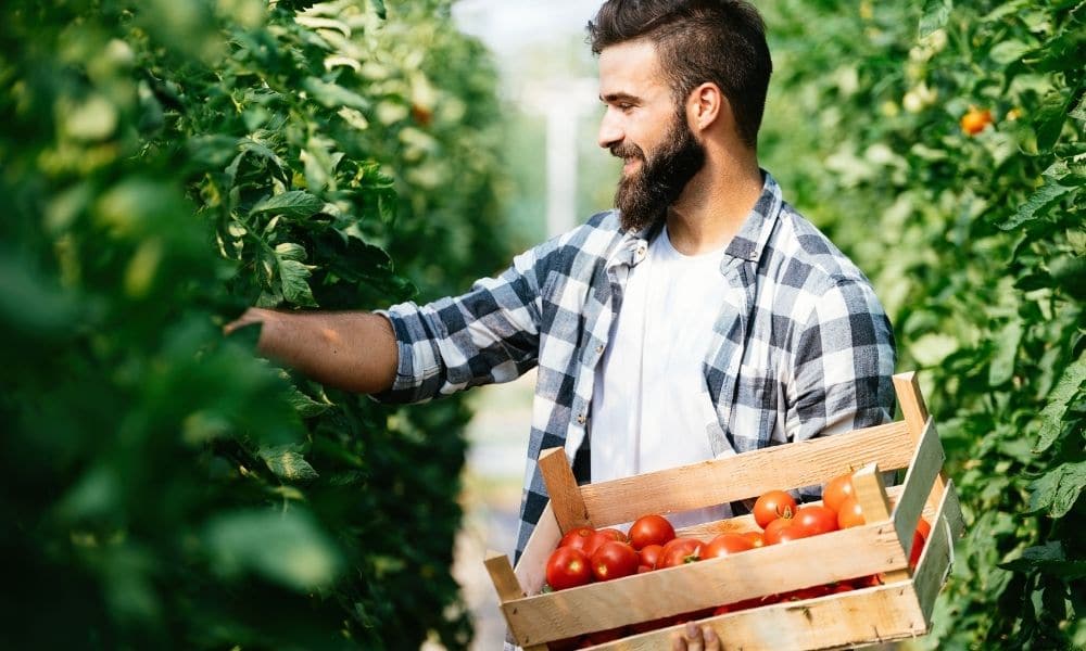 Tips for Farmers To Sell Wholesale Produce