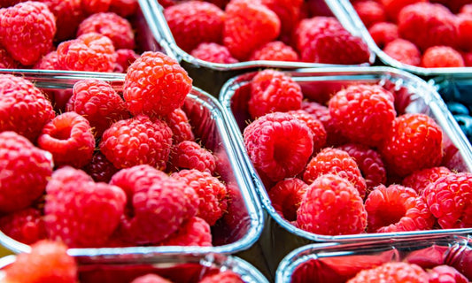 Top 8 Delicious Berries To Grow on Your Farm