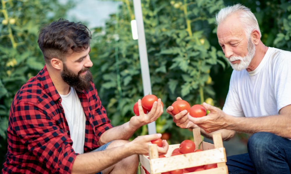 What Crops Are Best To Plant in the Summer?