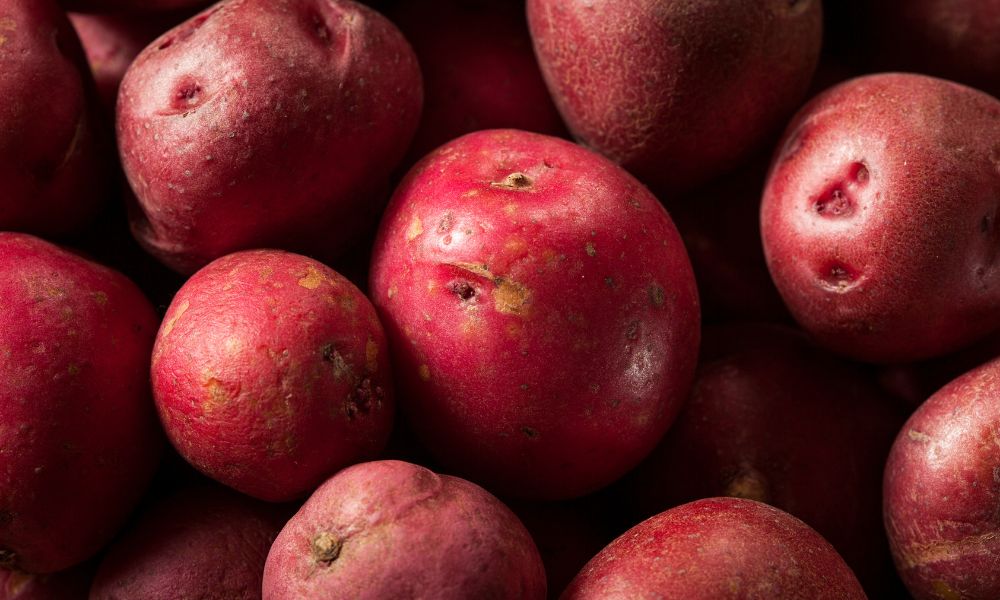 4 Best Potato Varieties To Grow in Your Garden