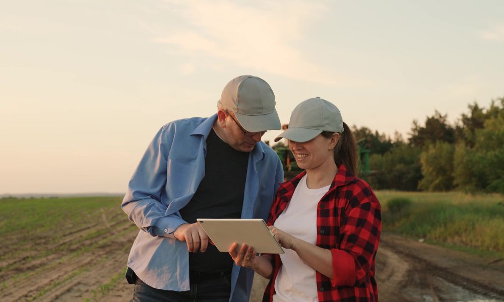 How To Start a Successful CSA on Your Farm