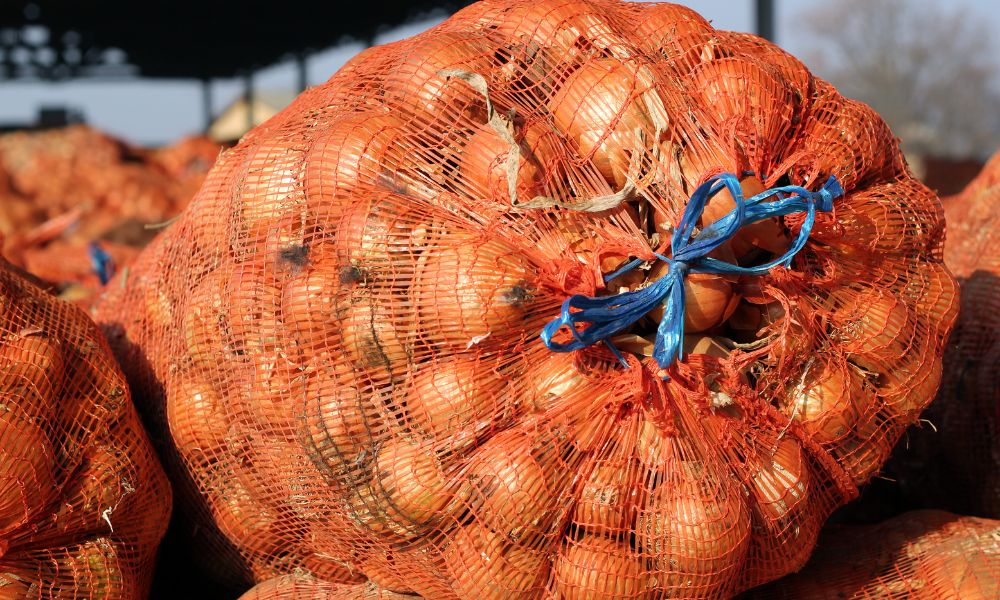 4 Different Ways To Reuse Your Onion Mesh Bags
