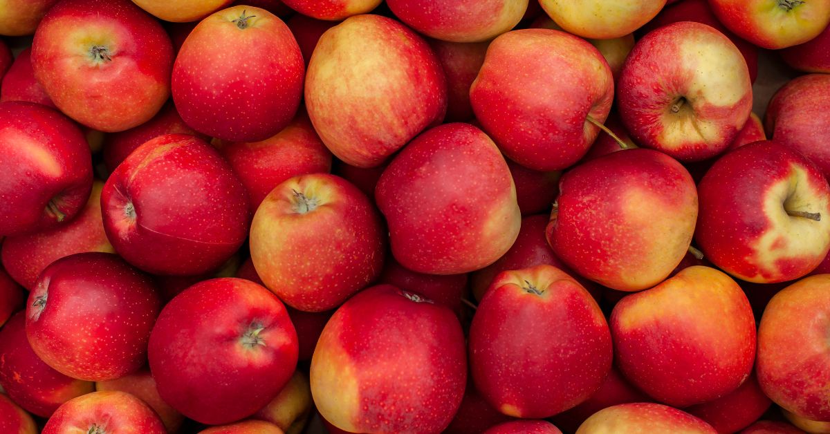 Ultimate Guide To Starting An Apple Farm Business