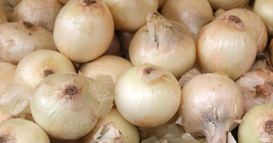 Proven Methods for Storing Onions to Extend Their Shelf Life