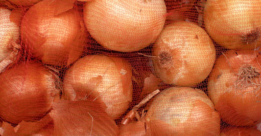 What Is the Best Type of Bag To Store Onions?