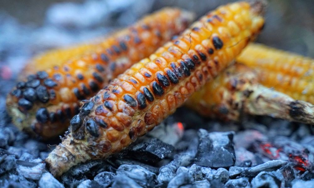 5 Tips for Starting a Roasted Corn Business