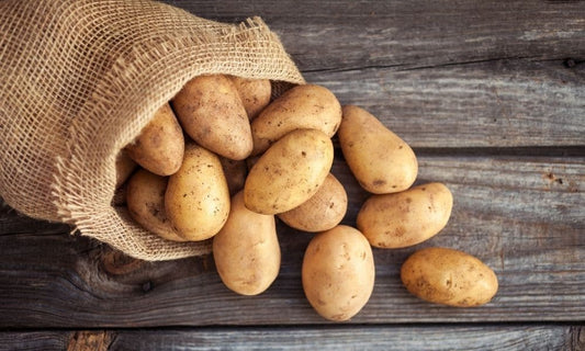 Reasons Potatoes Are Stored in Potato Sacks
