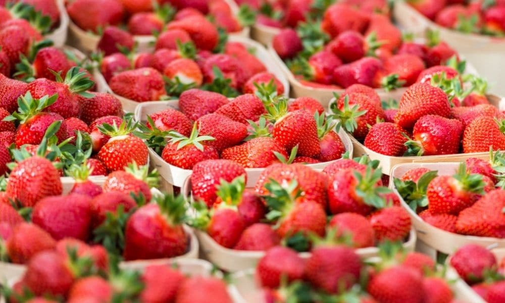 Berry Punnets: What They Are and Why They’re Useful