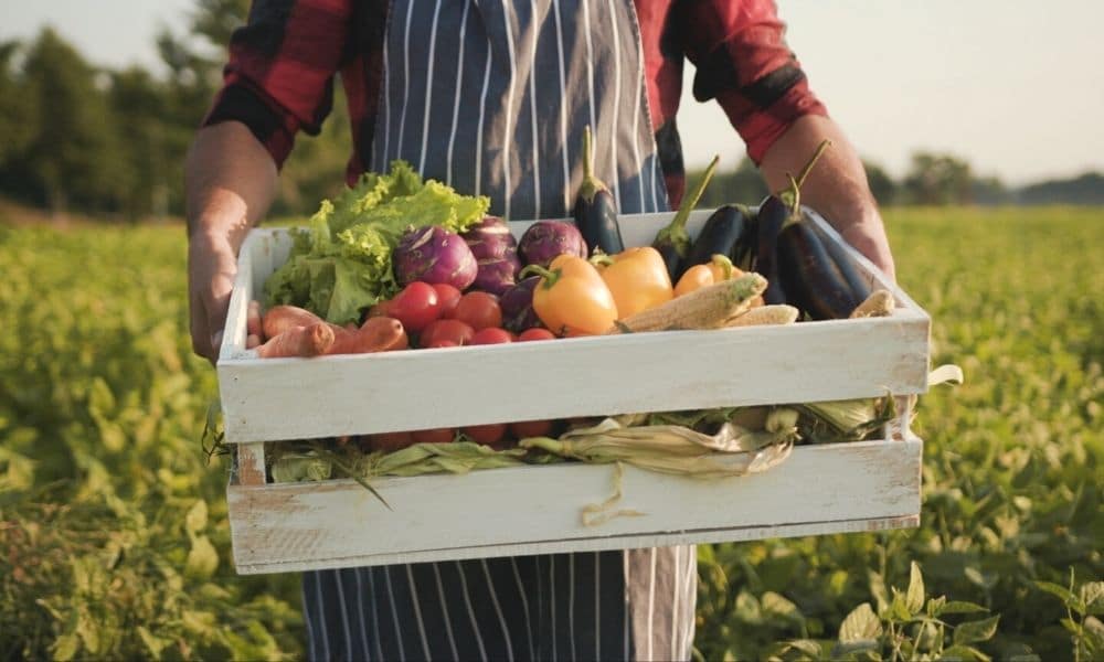 Top Ways To Sell Produce as a Farmer