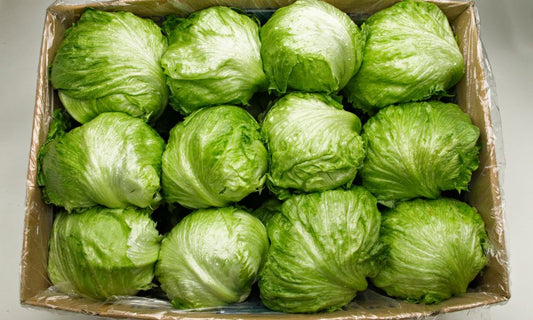 What To Know About Storing and Shipping Lettuce