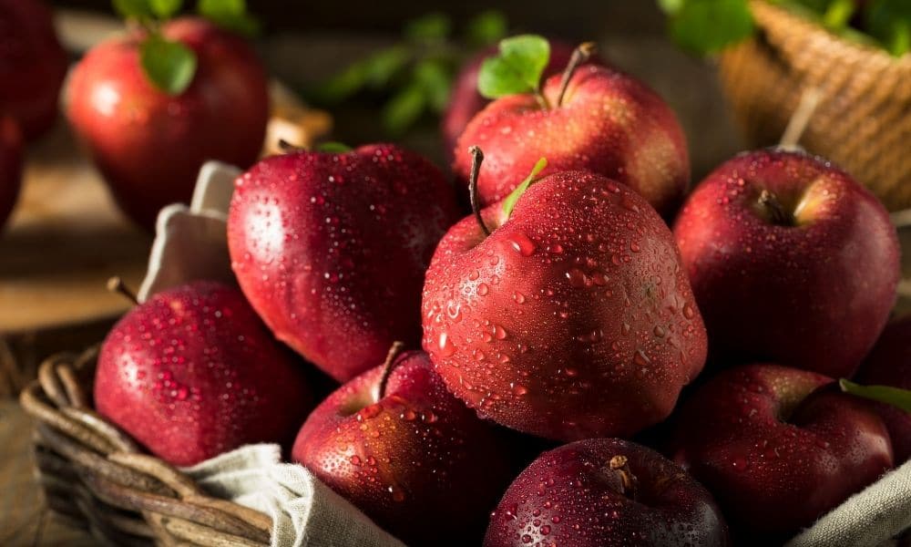 What Are the Most Popular Apple Types You Should Be Selling?