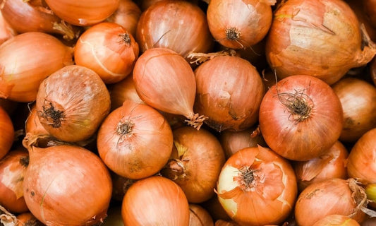 Tips for Properly Storing Different Types of Onions