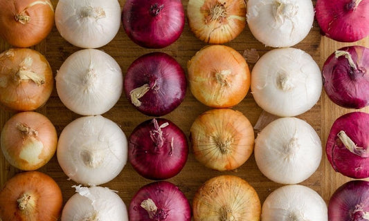 The 5 Types of Onions You Should Be Selling