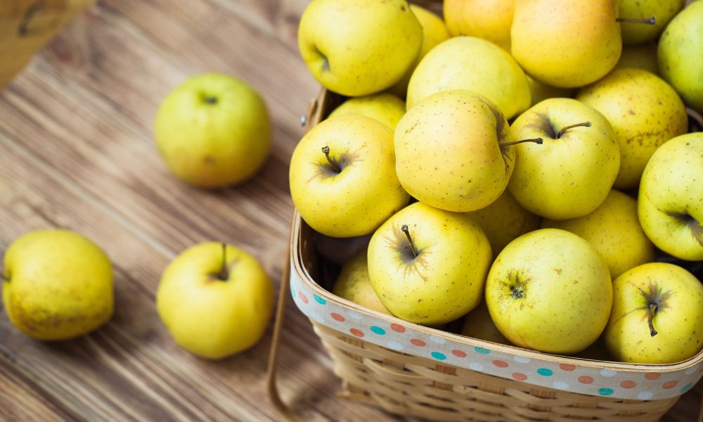 Apples 101: The Best Apples for Baking, Snacking, and More