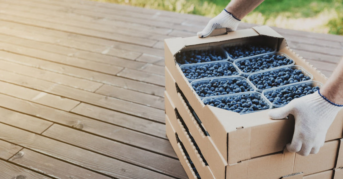 Gloved hands stacking cardboard produce boxes filled with fresh blueberries in plastic containers on a wooden outdoor surface.