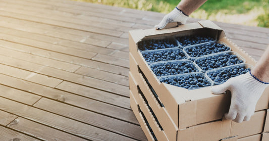 Gloved hands stacking cardboard produce boxes filled with fresh blueberries in plastic containers on a wooden outdoor surface.