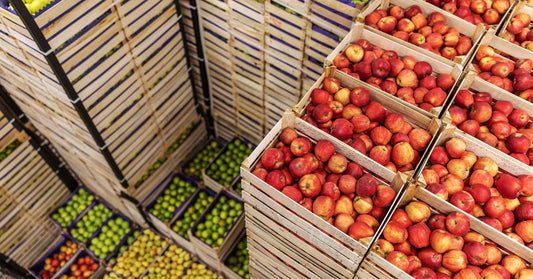 Several tall stacks of crates holding apples and pears. The pear crates are lined with a purple material.