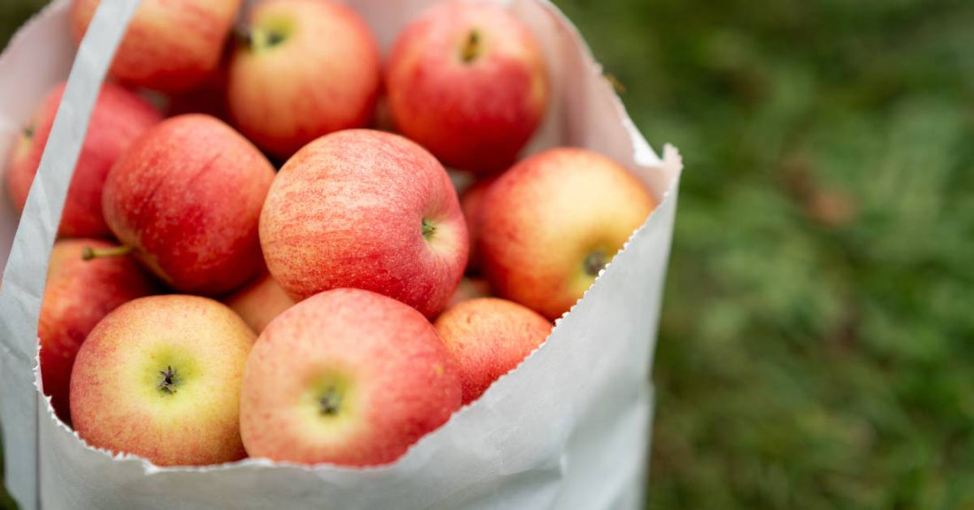 An unmarked white paper bag with a single handle holding ripe red apples and resting on a patch of blurred green grass.