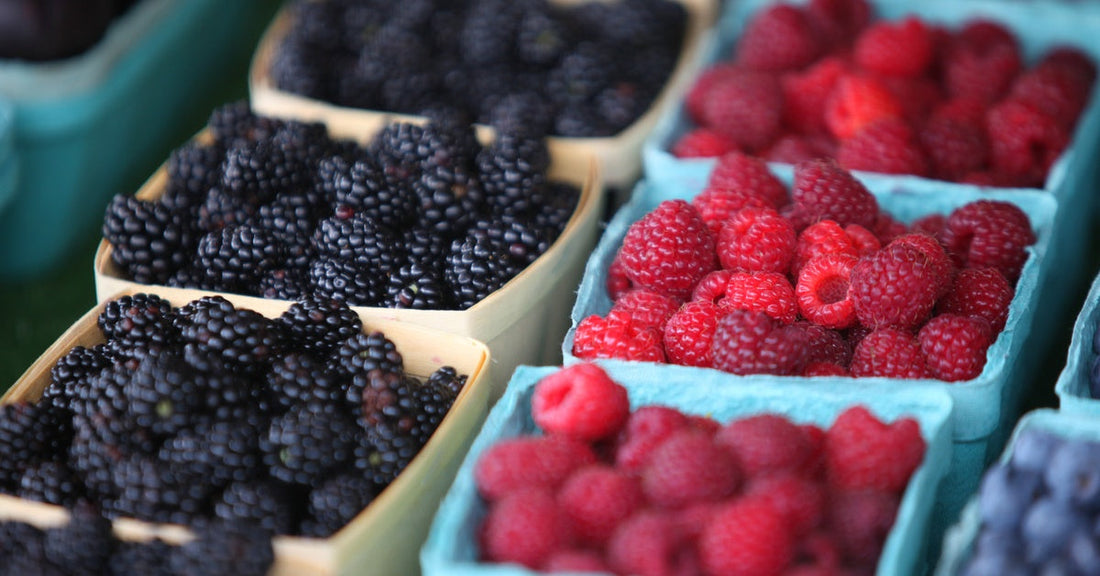 Four rows of open square containers hold berries, with blackberries and raspberries shown in sharp focus.