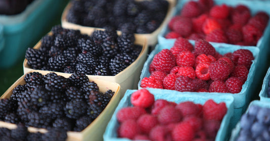 Four rows of open square containers hold berries, with blackberries and raspberries shown in sharp focus.