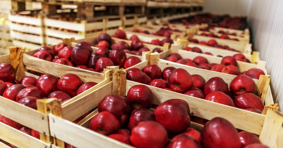 A cold storage room contains multiple wooden crates of red apples. The apples are fresh and show no signs of spoilage.