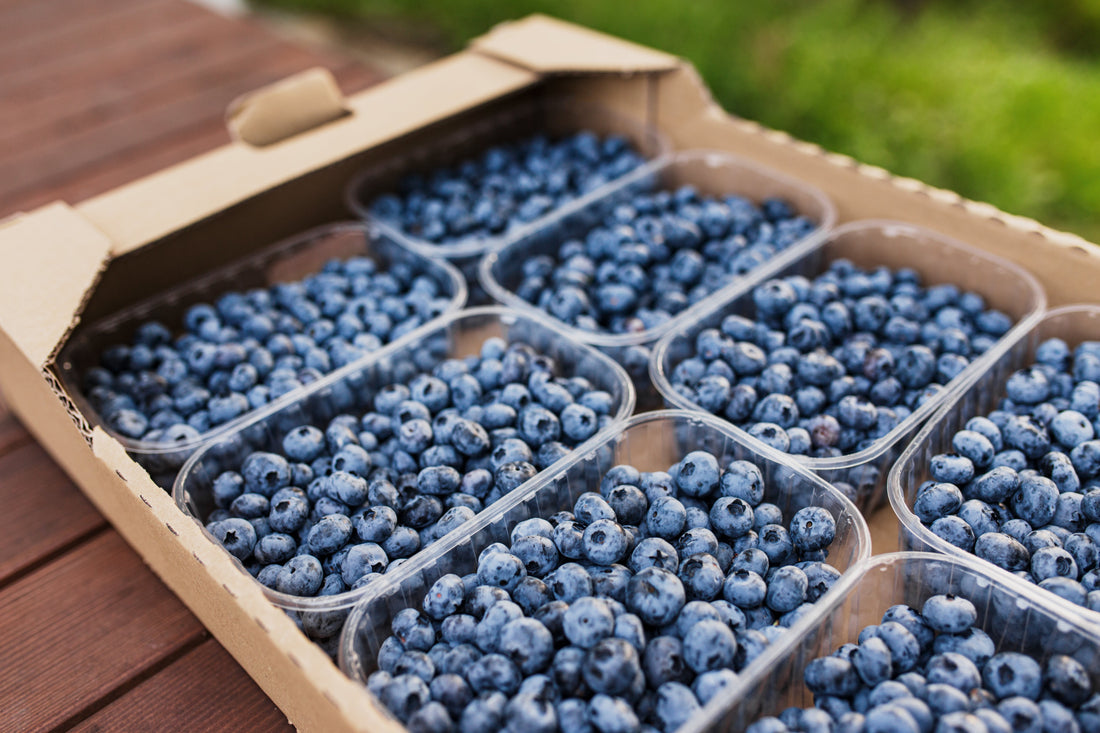 An open cardboard box holds clear plastic containers packed with fresh blueberries on a wooden table.