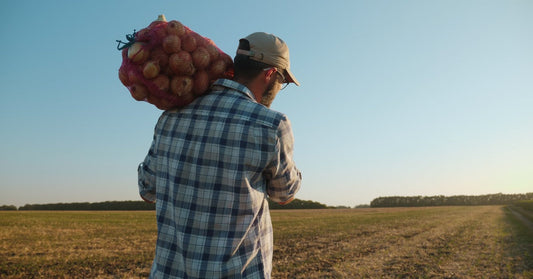 A farmer carries a large mesh bag of onions over his shoulder while walking across a dry open field at sunset.