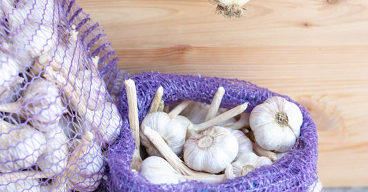 Multiple purple mesh bags hold garlic bulbs on a wooden table as loose bulbs rest on the table nearby.