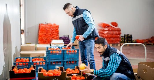 Two workers sort tomatoes and grapefruit into crates inside a produce warehouse with stacked mesh bags behind them.