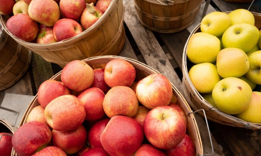 Apple Picking 101: What Are Bushels and Pecks?
