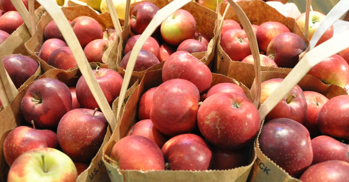How Do You Store Brown Paper Bags To Keep Them Pristine?